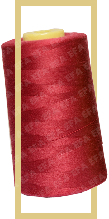EFA